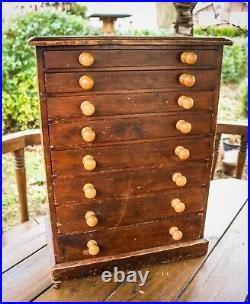 Antique Collectors Cabinet Specimen Chest of Drawers Solid Wood Large