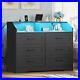 Black Dresser with LED Lights Chest of Drawers Large Capacity Storage Cabinet